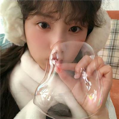 假元首秘纪海报