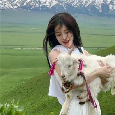 极地先锋海报